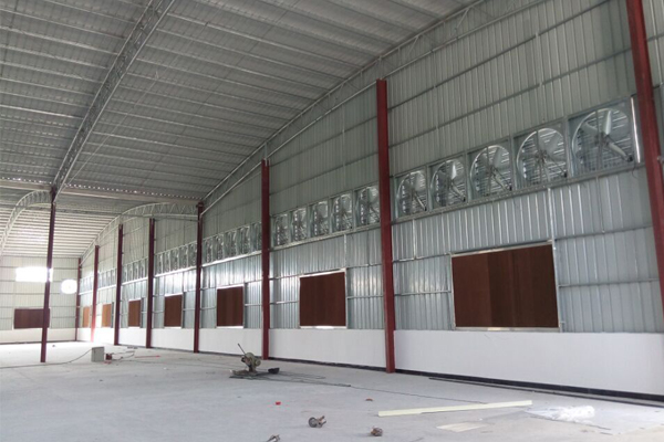 �FƤ������ˮ�����b