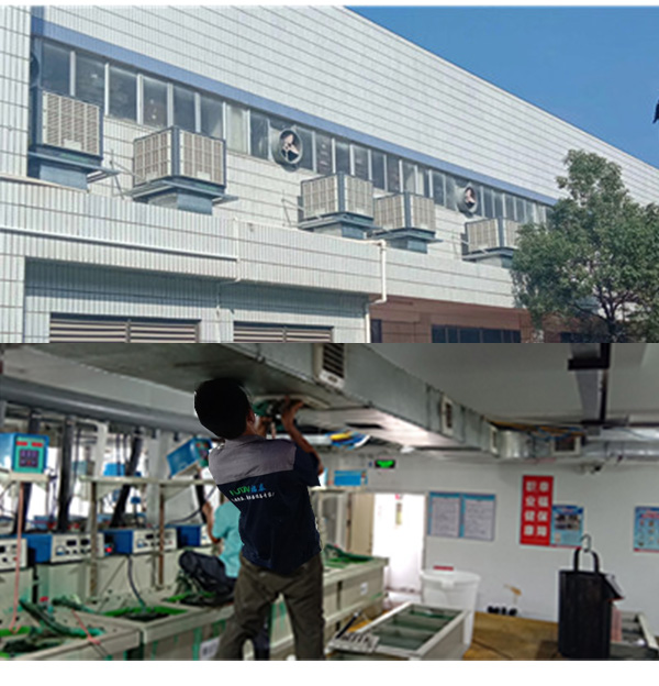 ���S܇�g������ʲô��������