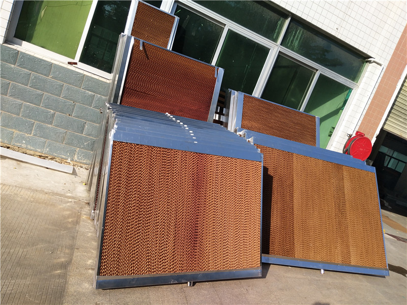 �񺟼����l(f��)�r(ji��)��-2021